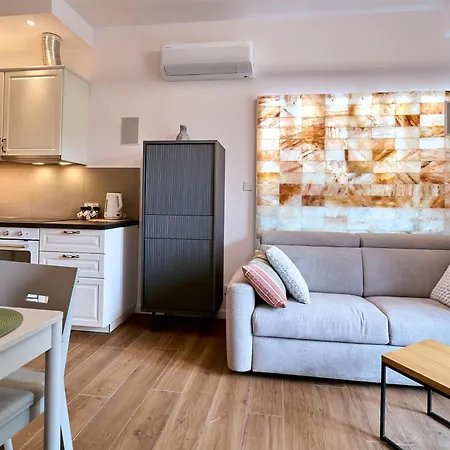 Апартаменты Dom Solny Z Prywatna Strefa Solna Wellness Поляница-Здруй